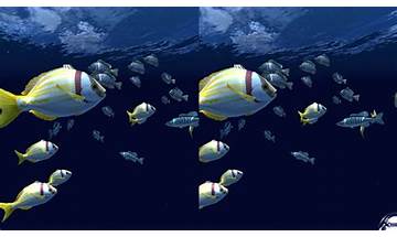 Fish Schooling for Android - Download the APK from Habererciyes